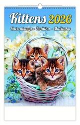 Koťátka 2026 - nástěnný kalendář