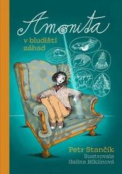 Amonita v bludišti záhad