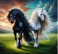 Diamantové malování Černá a bílá