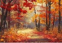 Diamantové malování Les v barvách podzimu