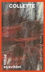 Přišla za svítání