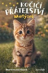 Kočičí přátelství Matýsek