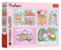 Puzzle Pusheen Seznamte se s Pusheen
