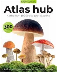 Atlas hub