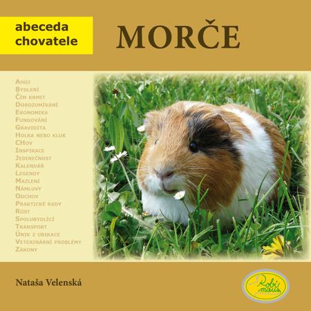 Morče - 978-80-87293-04-1