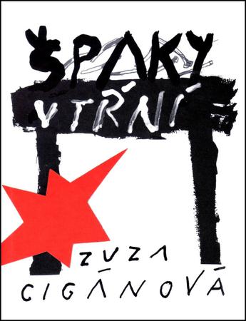 Špaky v tŕní - 978-80-8061-616-8