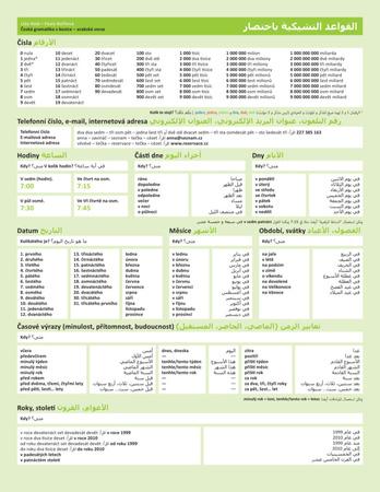 Česká gramatika v kostce - 978-80-7470-021-7