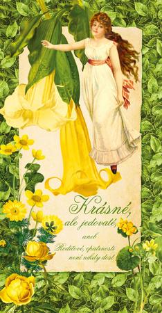 Krásné, ale jedovaté - 978-80-87678-36-7