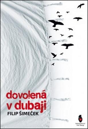 Dovolená v Dubaji - 978-80-87563-28-1