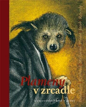 Plameny v zrcadle - Hron Zdeněk