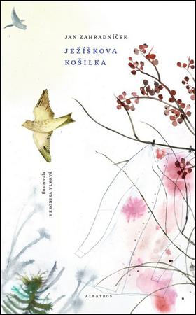 Ježíškova košilka - 978-80-00-04680-8