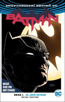 Batman 1 - Já jsem Gotham – Tom King - 978-80-7449-612-7