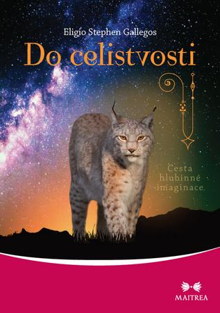 Do celistvosti - 978-80-7500-342-3