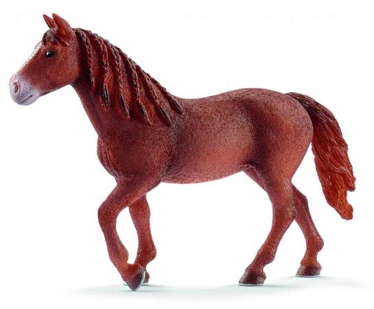SCHLEICH Kůň Morgan - kobyla - 13870