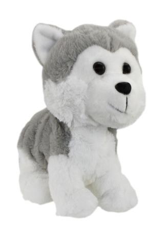 Hafíci Maxík - Husky - EP03736EPE