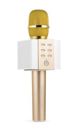 Technaxx ELEGANCE bluetooth karaoke mikrofon, 2x5W repro, zlatá (BT-X45), 4813