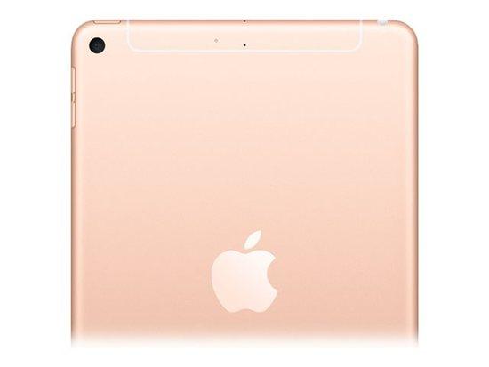 Apple iPad mini Wi-Fi + Cellular 256GB Gold MUXE2FD/A
