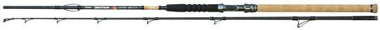 Prut Emotion Catfish 2,10M/700G