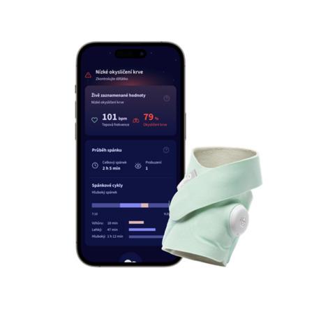 Owlet Dream Sock - Original Mint - 932624