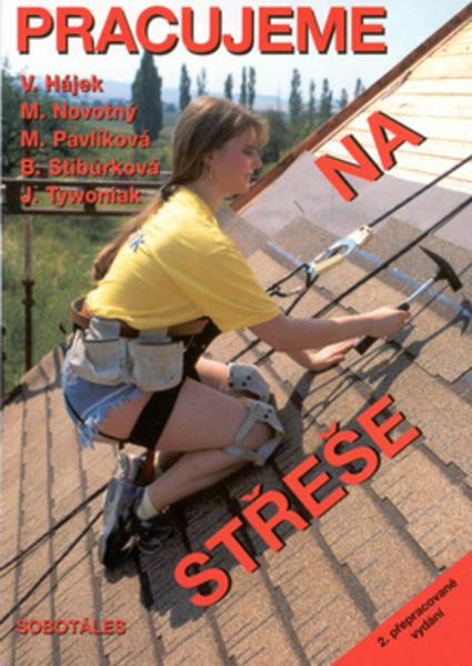 Pracujeme na střeše - 80-85920-68-9