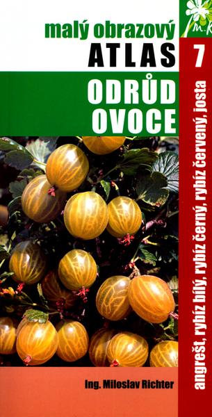 Angrešt, rybíz bílý, rybíz černý, rybíz červený, josta - 80-903487-6-9