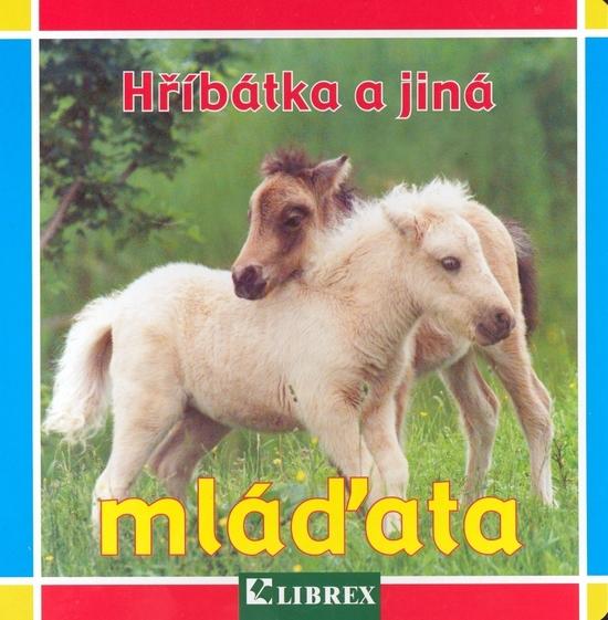 Hříbátka a jiná mláďata - 978-80-7228-612-6