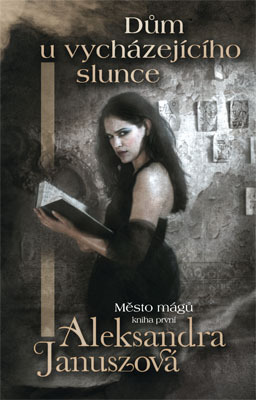 Kniha Město mágů (Kniha první)