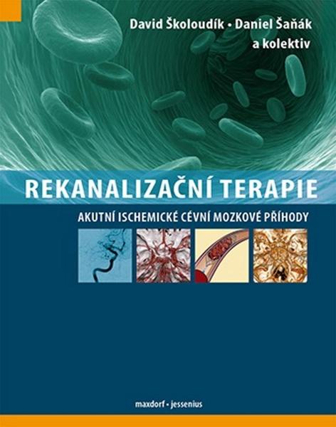 Rekanalizační terapie - 978-80-7345-360-2