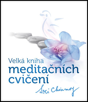 Velká kniha meditačních cvičení - 978-80-86581-75-0