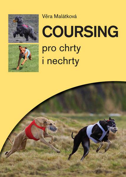 Coursing - 978-80-7428-257-7