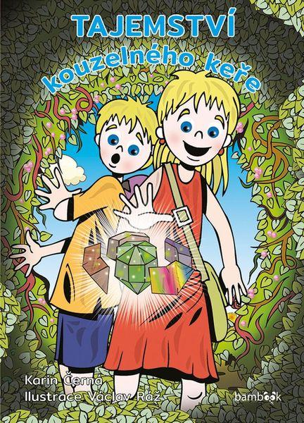 Tajemství kouzelného keře - 978-80-271-0256-3