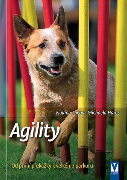 Agility - 978-80-7541-012-2