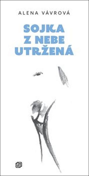 Kniha Sojka z nebe utržená