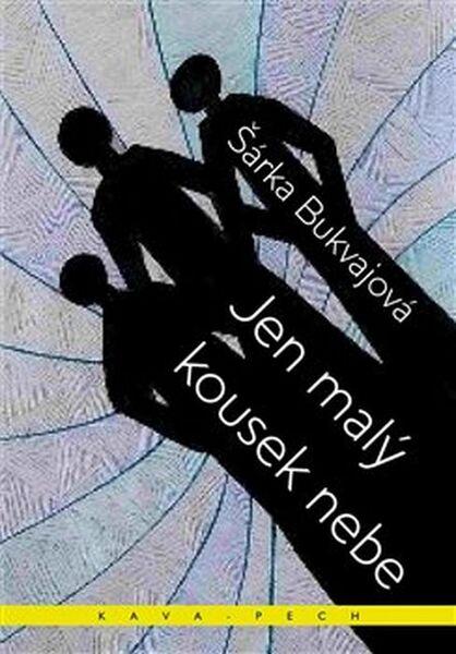 Kniha Jen malý kousek nebe