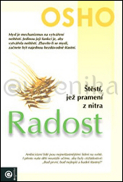 Radost - 978-80-89227-20-4