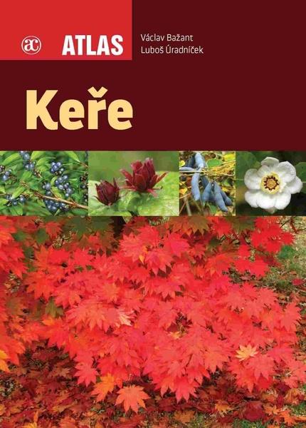 Keře - Atlas - Bažant Václav, Úradníček Luboš - 978-80-200-2777-1