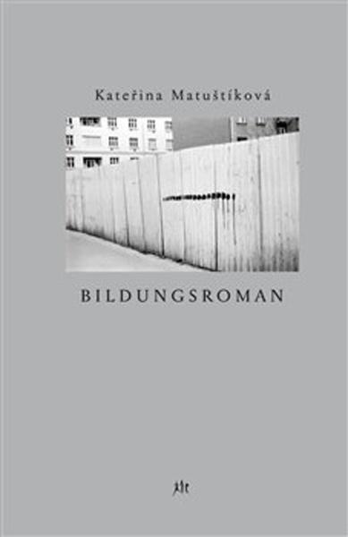 Kniha Bildungsroman