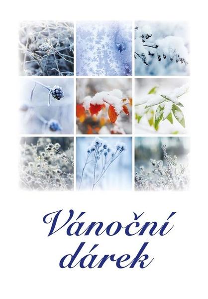 Vánoční dárek - 978-80-7497-174-7