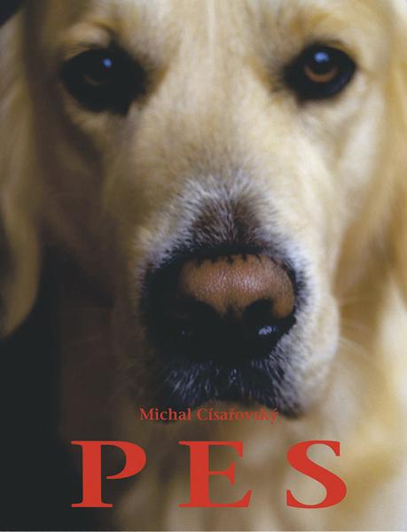 PES - 978-80-900820-1-4