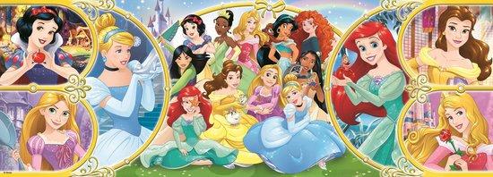 TREFL Panoramatické puzzle Zpět do světa princezen 500 dílků - 29514