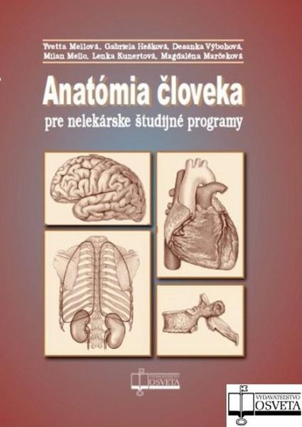 Anatómia človeka pre nelekárske študijné odbory - Yvetta Mellová, Gabriela Hešková, Desanka Výbohová - 9788080634544