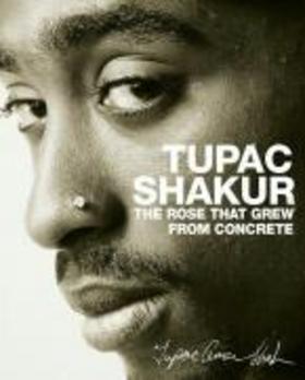 The Rose That Grew from Concrete - 1416511652