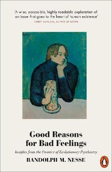 Good Reasons for Bad Feelings - 0141984910