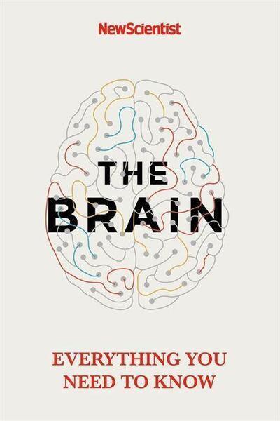 The Brain - 1529363314