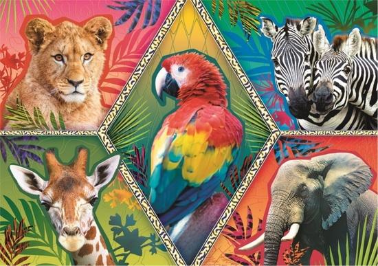 TREFL Puzzle Animal Planet: Exotická zvířata 1000 dílků - 10671