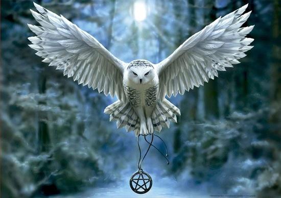 EDUCA Puzzle Probuď svoji magii 500 dílků - 17959