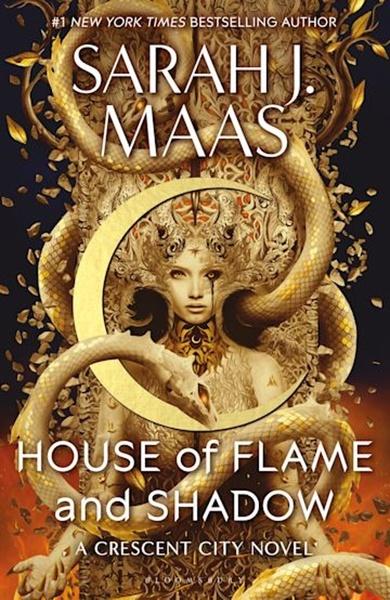 Kniha House of Flame and Shadow