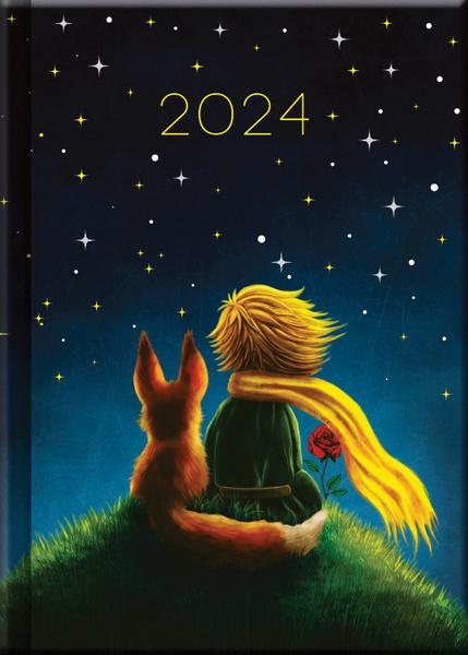 Praktik denní diář cz/sk Malý princ