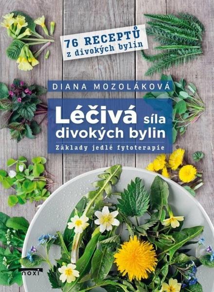 Léčivá síla divokých bylin - 9788081116599