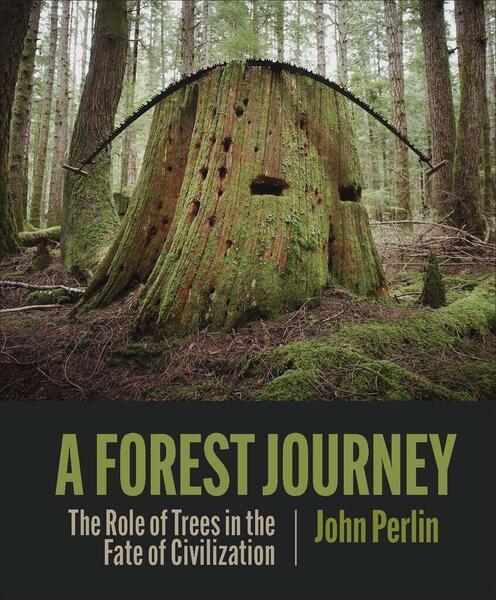 A Forest Journey - 1938340973